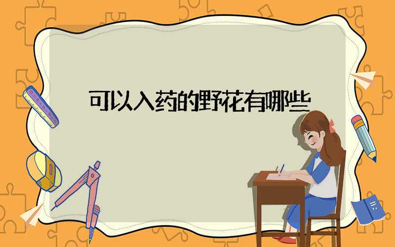  可以入药的野花有哪些